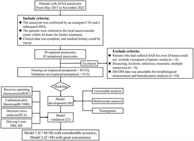 Nomograms for assessing the rupture risk of anterior choroid artery aneurysms based on clinical, morphological, and hemodynamic features